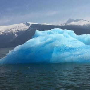 Meet your Posher, Chee